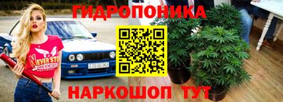 ГАЛЛЮЦИНОГЕННЫЕ ГРИБЫ Малоярославец
