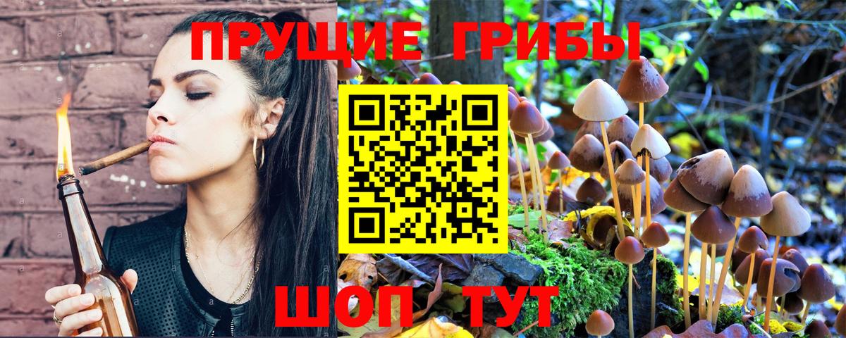 Псилоцибиновые грибы Magic Shrooms  Псилоцибиновые грибы GOLDEN TEACHER  Вход с VPN  Гай 