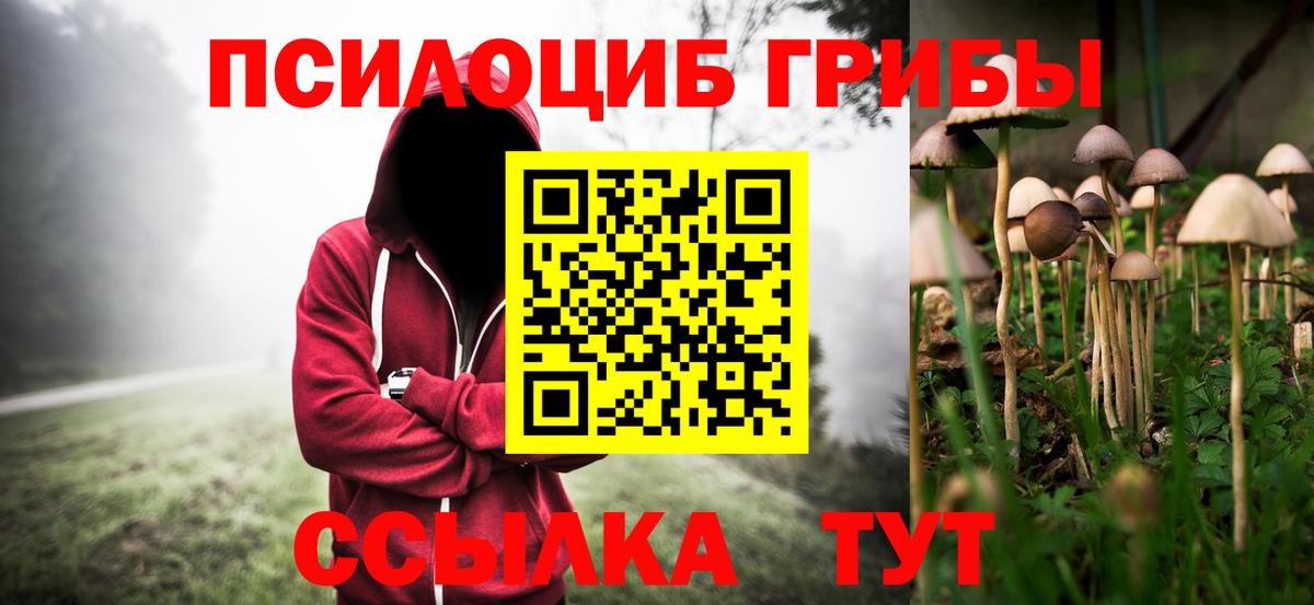 Псилоцибиновые грибы Cubensis Гай